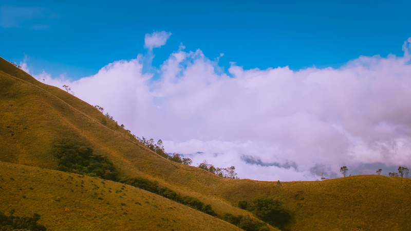 land, day, outdoors, non-urban scene, mountain, kerala, idukki, sky, geology, field, tranquil scene, cloud - sky, idyllic, environment, no people, nature