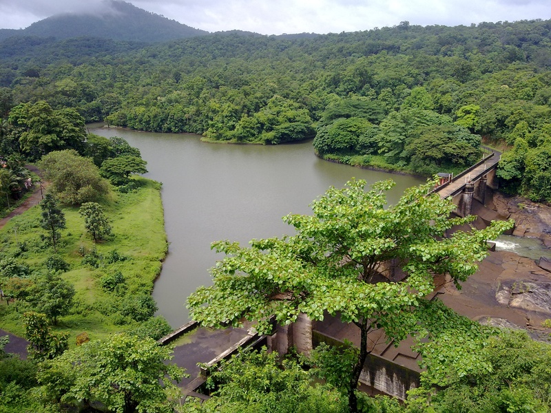 subtropical, tranquil scene, tree, bridge, day, beauty in nature, india, high angle view, landscape, mountain, outdoors, ottackal, water, angle, no people