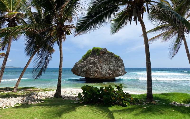 Scenery, Sea, Palm, Stone, 1080P, Island, Tropical, Trees