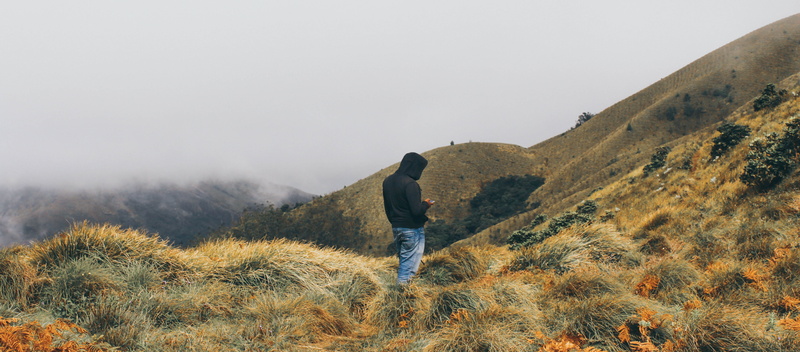 one person, hill, outdoors, nature, lifestyles, plant, blue, alone, environment, rear view, fog, green, beauty in nature, leisure activity, landscape, man