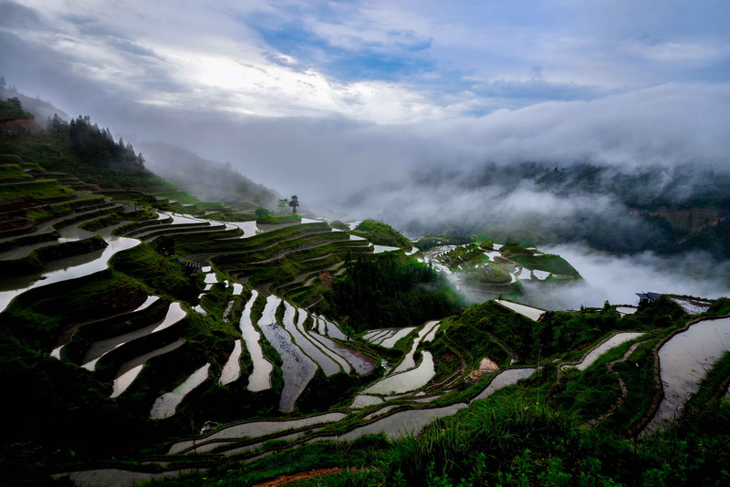 cloud, field, terraced field, mountain, no people, beauty in nature, mountain range, land, grassland, tree, outdoors, day, guizhou, cloud - sky, rural