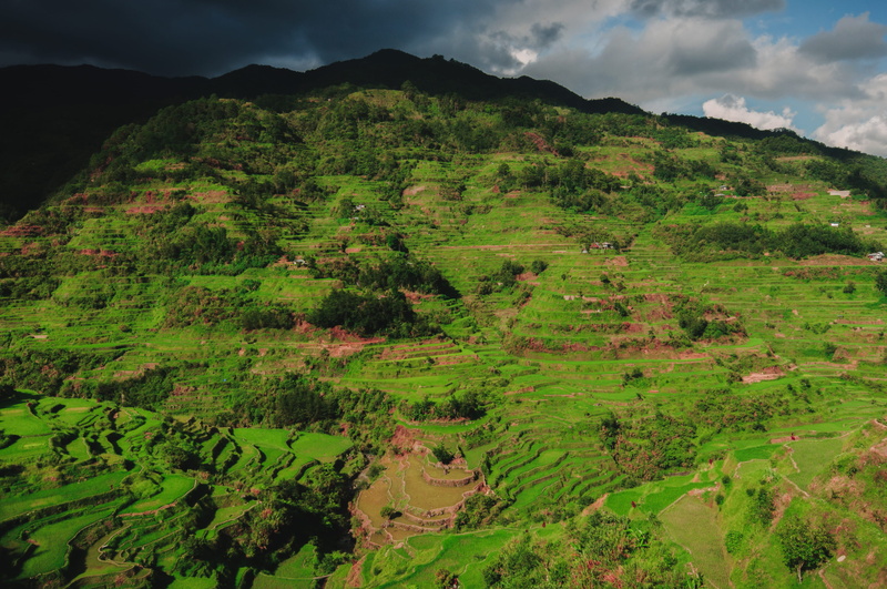 asia, rice terrace, mountain peak, cloud - sky, epic, 4K, plant, outdoors, landscape, scenics - nature, travel, idyllic, green color, no people, banaue