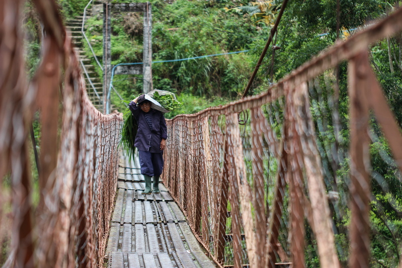land, real people, arbour, 5K, bridge - man made structure, metal, rear view, person, handrail, forest, woodland, wooden, bridge, casual clothing, outdoors