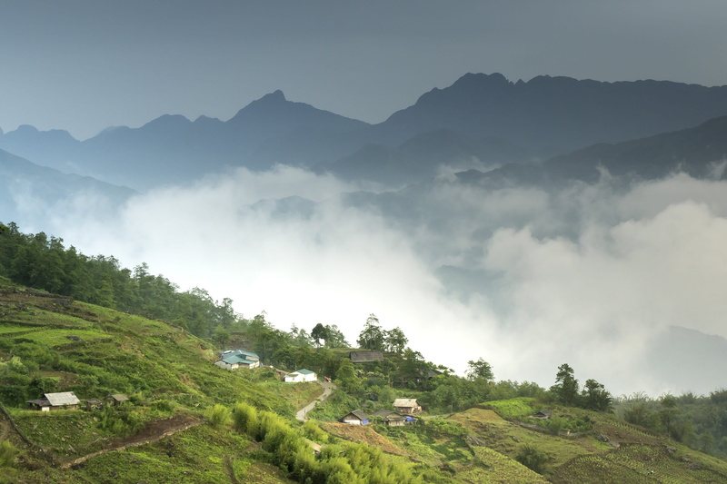 tree, mountain, people, cultural, village, vietnam, tranquil scene, scenics - nature, rice, sky, farm, the valley, architecture, day, nation, agriculture