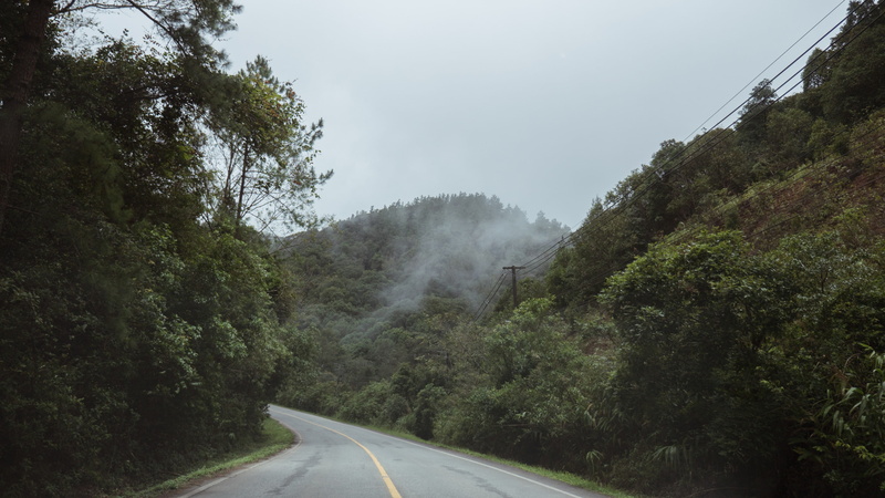 sign, day, tree, transportation, the way forward, plant, cold, road, nature, direction, chiang mai, outdoors, 4K, trees, road marking, sky, beauty in nature