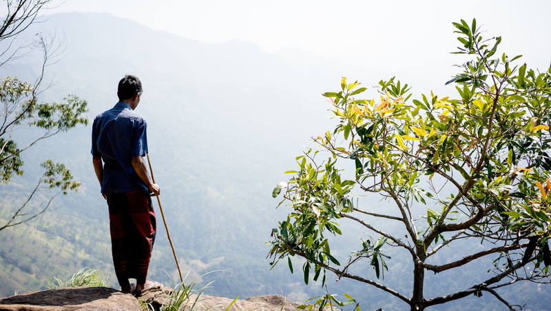 back, rear view, guy, male, chinese Ethnicity, standing, full length, shirt, tree, men, nature, plant, asian Ethnicity, leisure activity, green, looking at view