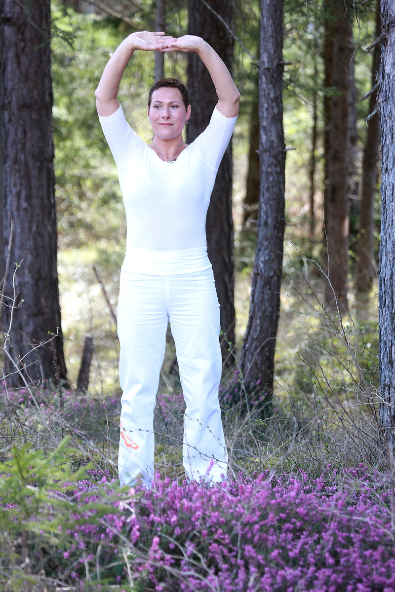 wellness, qigong, one Person, wearing the sky, standing, land, caucasian Ethnicity, full length, women, spirituality, park, calm, mid adult, people, meditation