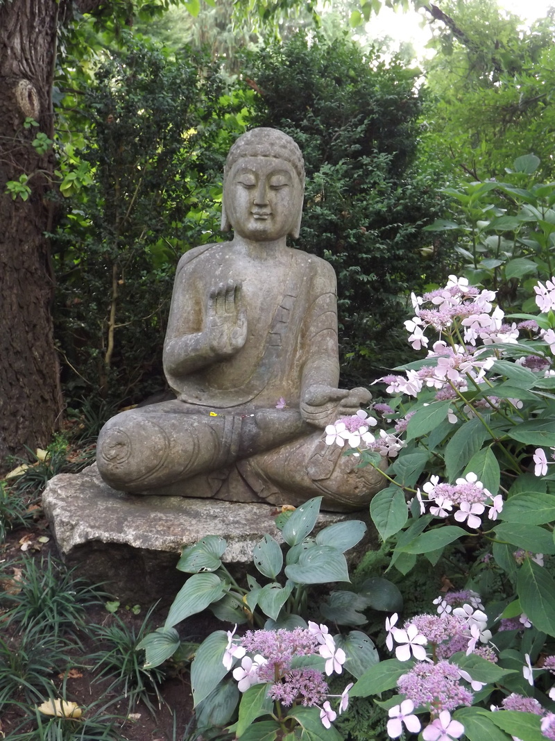 zen, art, gartendeko, flower, plant, figure, representation, artfully, tree, creativity, fernöstlich, spiritual, steinbuddha, asia, no people, belief, meditate