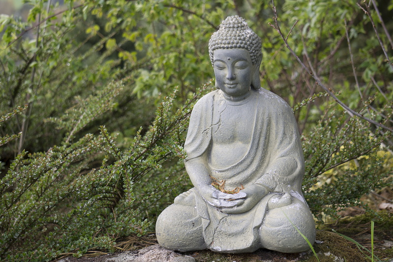 symbol, religion, plant, 4K, day, belief, no people, statue, tranquility, nature, thailand, spirituality, statuette, tree, buddhism, historically, solid