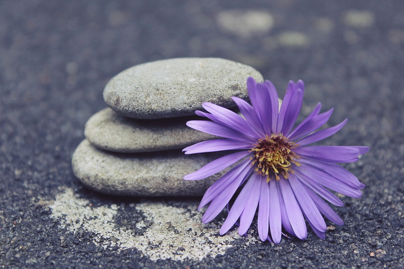 no people, selective focus, meditate, rest, close, solid, bloom, fernöstlich, softness, patience, inflorescence, decorative stones, 4K, silent, flowering plant