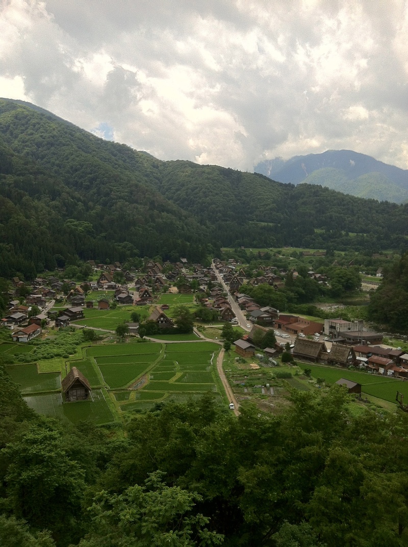 scenics - nature, nature, plant, tranquil scene, ruins, harumi, world heritage site, japan, tradition, architecture, rural Scene, beauty in nature, shirakawa go