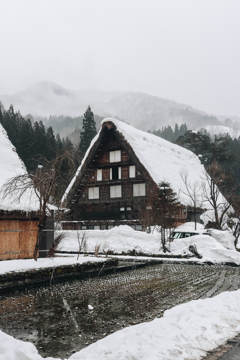no people, shirakawa, tranquility, cold, village, mountain, cabin, landscape, extreme weather, water, day, building, architecture, plant, cottage