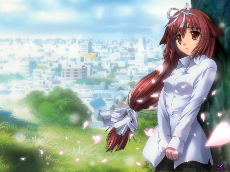 da capo, 720P, catgirl, yoriko, capo, sagisawa