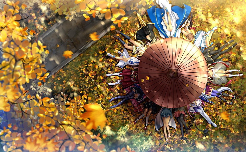 flower, autumn, fragility, leaf, close-up, sunlight, pattern, Da Capo, Megurine Luka, selective focus, Shinryaku! Ika Musume, 720P, beauty in nature, flowering plant