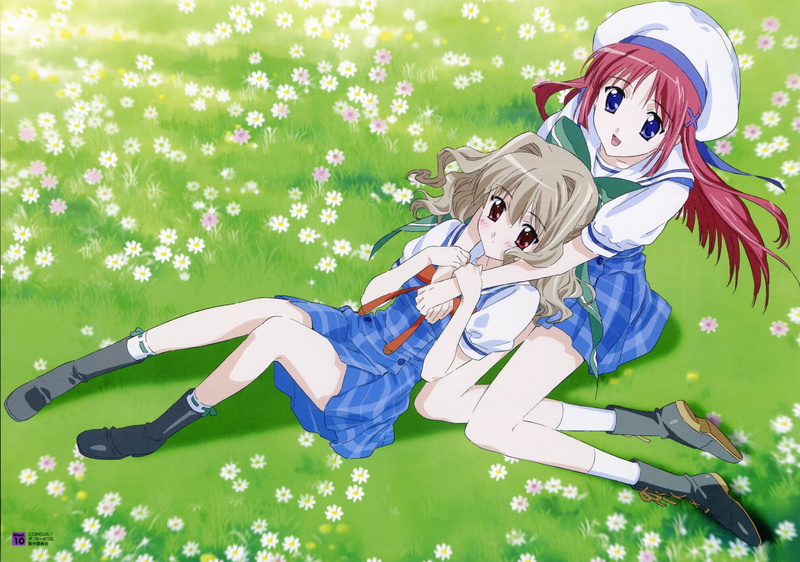 kotori, aisia, 2K, capo, shirakawa, da capo