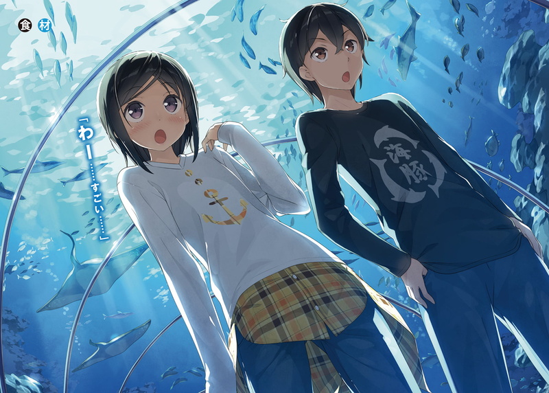 Itsuki Hashima, 1080P, Imouto sae Ireba Ii., Chihiro Hashima, Anime