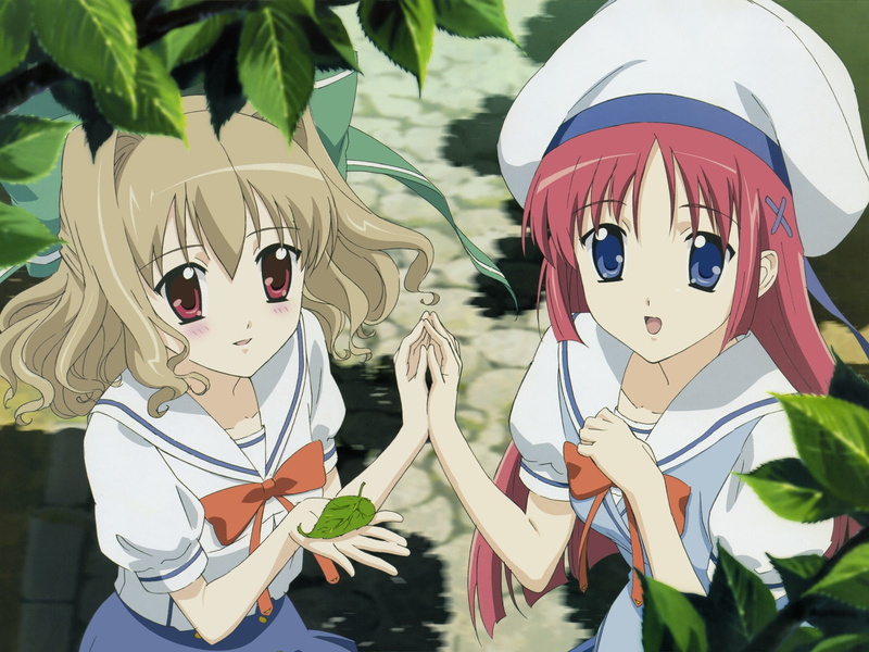 kotori, capo, 720P, shirakawa, da capo, aisia