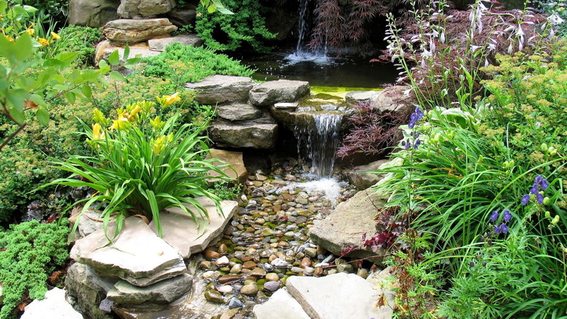 motion, flowing, garden, growth, nature desktop  full size 1920x1080, flowing water, water, 1080P, beauty in nature, rock - object, scenics - nature, tree