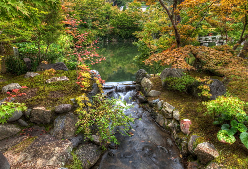 Japan, Tree, Man Made, Zen, Fall, Bush, Nature, The Harmony Garden, Rock, Kyoto, Bridge, Park, 2K, Foliage, Garden