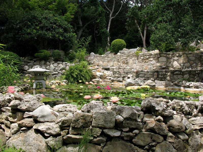east Asian Culture, cultures, stone wall, flower, japanese garden, plant, solid, tranquility, nature, famous Place, ancient, growth, old Ruin, stone Material