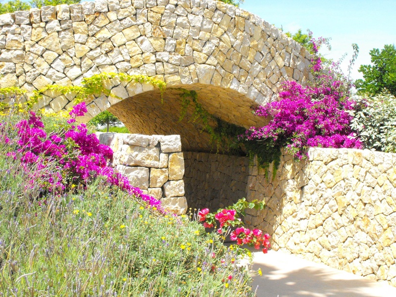 pathway, triple flower, beauty in nature, plant, purple, rock, bridge, bougainvillea, summer, freshness, bloom, empty, flowering plant, beside, growth