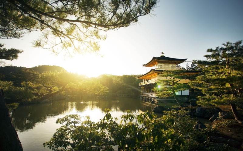 Japan, Kinkaku-ji, Temples, 1080P, The Golden Pavilion, Kyoto