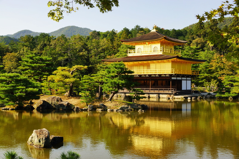 architecture, tree, holiday, building exterior, lake, nature, outdoors, golden temple, places of interest, tranquility, golden pavilion, water, built structure