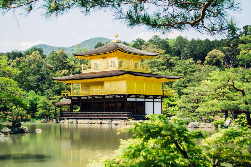 kinkaku ji, outdoors, trees, built structure, building, belief, temple, plant, sky, place of worship, shrine, architecture, religion, building exterior