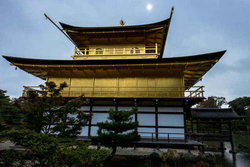 kinkaku-ji, golden pavilion, japan, shrine, tree, low angle view, architecture, belief, religion, 4K, place of worship, kyōto-shi, built structure, roof