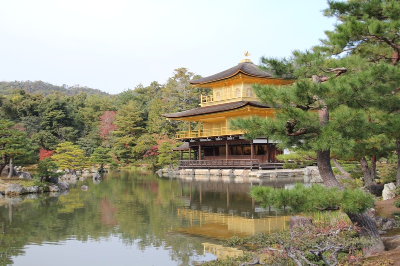 religion, place of worship, day, japan, kyoto, building, 2K, lake, water, outdoors, sky, reflection, tree, waterfront, built structure, spirituality, building exterior