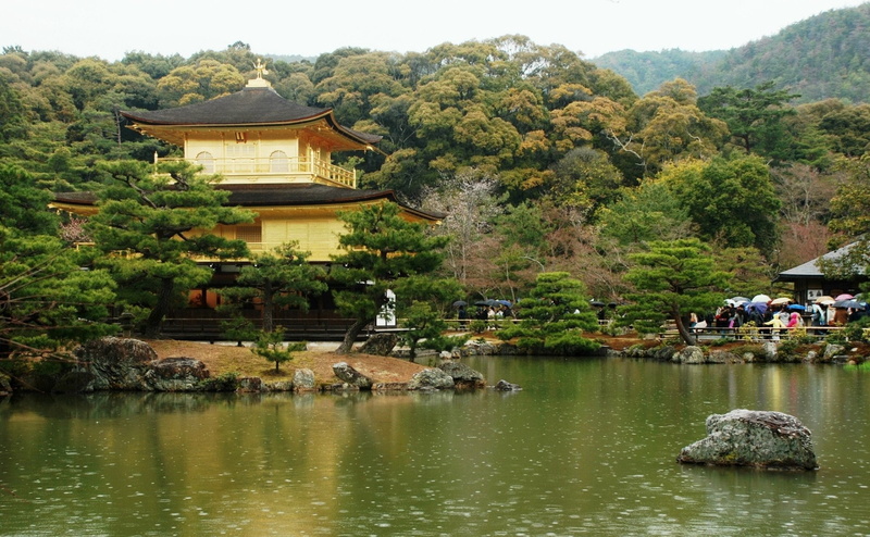 Kyoto, Temples, Kinkaku-ji, The Golden Pavilion, 1080P, Japan