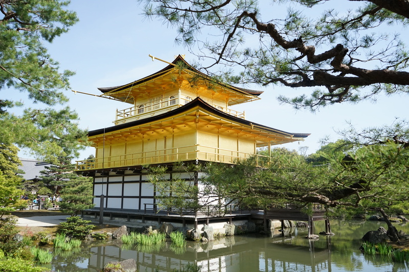 ancient architecture, nature, built structure, day, tree, Japan, Temple Of The Golden Pavilion, sky, building exterior, place of worship, shrine, pavilion
