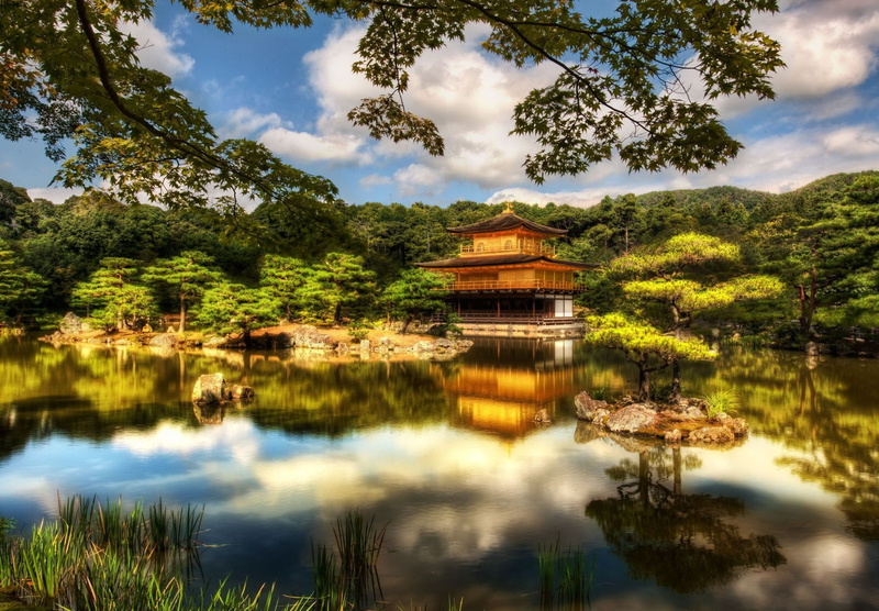 Kyoto, Japan, Temple, 1080P, Pavilion, Golden