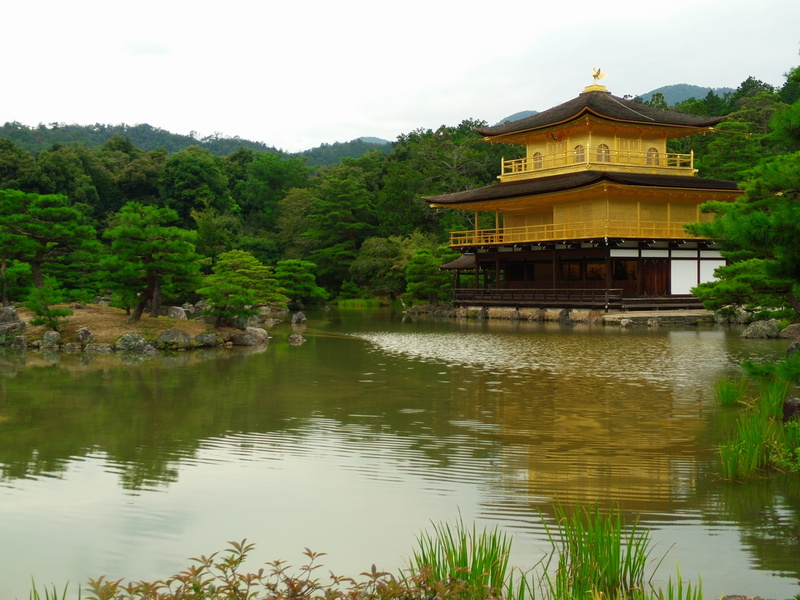 outdoors, religion, architecture, temple of the golden pavilion, travel, reflection, tree, travel destinations, classical style, water, nature, building