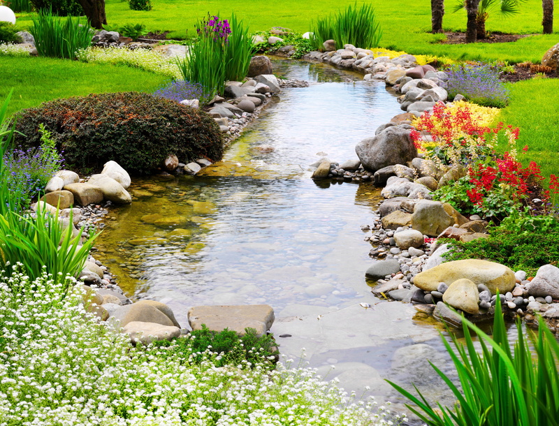animal themes, tree, outdoors, bush, river, grass, growth, flowerbed, nature, landscape, summer, scenics, ornamental Garden, greens, lawn, vertebrate, flower