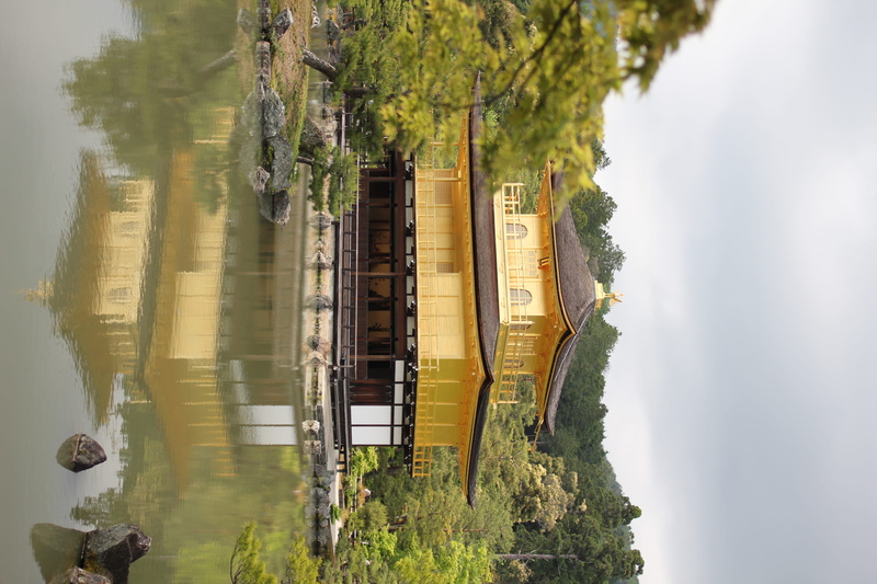 tree, kinkaku-ji, beauty in nature, golden pavilion, architecture, green color, plant, scenics - nature, outdoors, kyoto, palace, kyōto-shi, nature, building