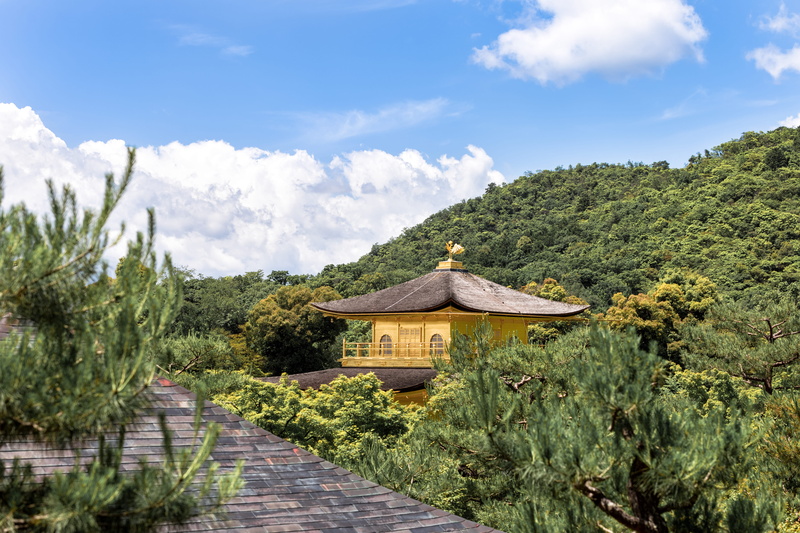 built structure, trip, hills, nature, outdoors, scenics - nature, giappone, tree, roof, green color, japanese, travel, summer, footpath, buddhism, architecture