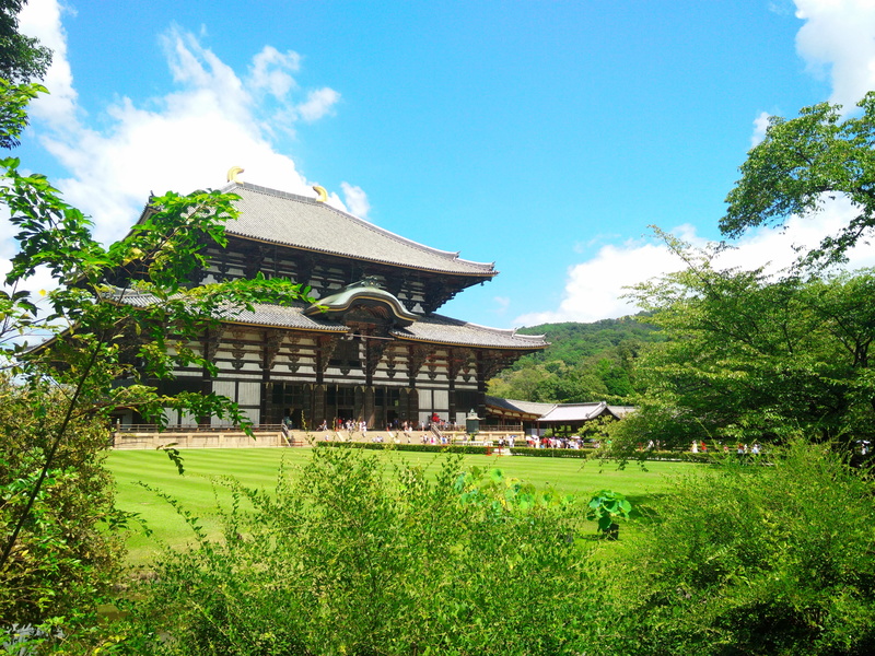 tree, nature, outdoors, no people, green color, sky, growth, 4K, temple of the golden pavilion, japan, building, architecture, spirituality, built structure