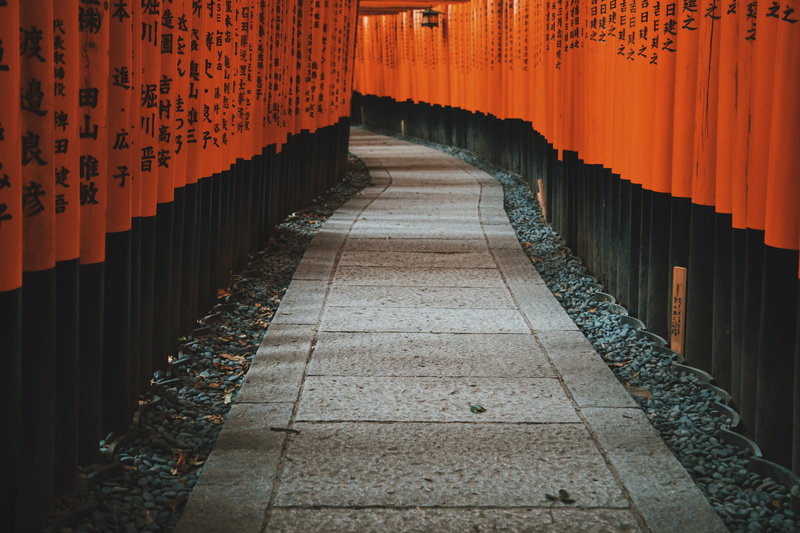 place of worship, kyōto-shi, 5K, architecture, footpath, outdoors, religion, direction, architectural column, spirituality, japan, fushimi inari taisha