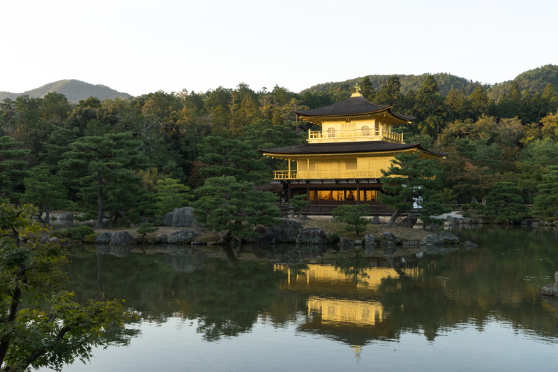 temple, no people, lake, tree, tranquility, golden temple, building, belief, spirituality, peaceful, tranquil scene, 5K, plant, travel, building exterior
