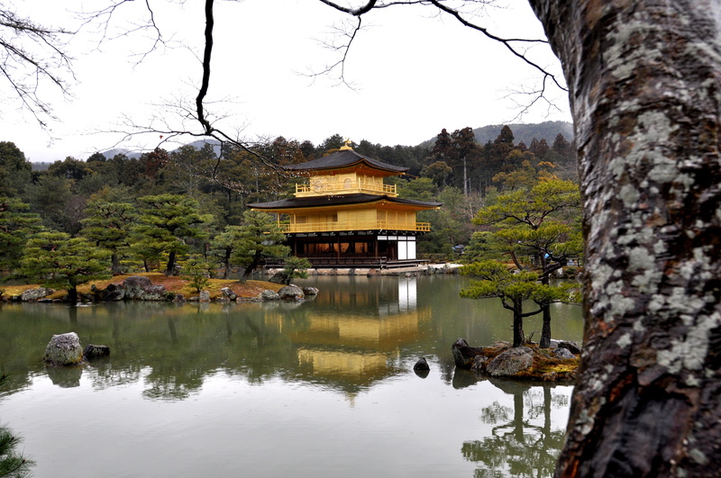 water, plant, lake, shogun ashikaga yoshimitsu, built structure, kyoto, place of worship, day, architecture, 4K, building exterior, sky, ji, kinkaku ji
