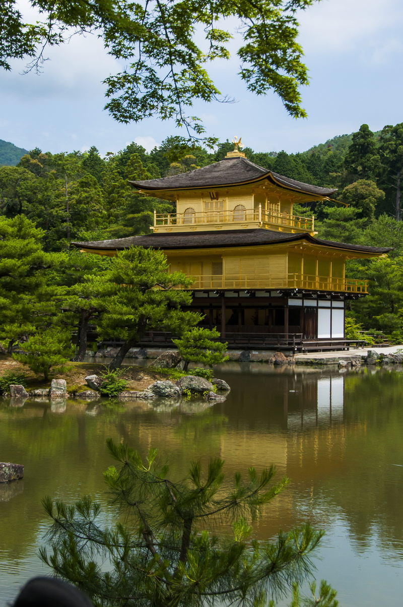 kyoto, water, day, 4K, trees, japan, plant, nature, built structure, waterfront, zen, tranquility, building exterior, reflection, tree, no people, temple