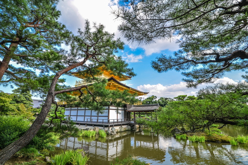 Temples, Kyoto, 1080P, Pond, Japan, Kinkaku-ji