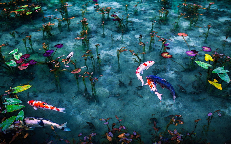 fish, artwork, 4K, pond, leaves, Japan, koi, painting, plants, water