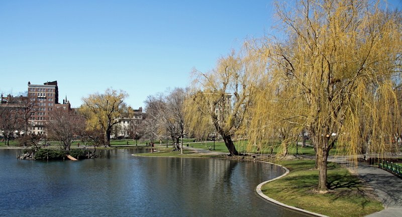 landmark, built structure, reflection, day, park, plant, river, bridge - man made structure, bridge, architecture, water, bare tree, city, clear sky, building exterior