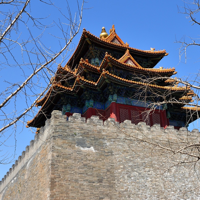 tree, ornate, turret, day, spirituality, the past, low angle view, no people, beijing, eaves, sunlight, nature, architecture, belief, the national palace museum