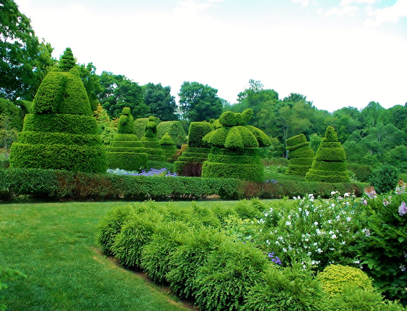 no people, 2K, foliage, agriculture, tranquility, scenics - nature, nature, plant, gardens, sky, outdoors, day, tranquil scene, landscape, lush foliage