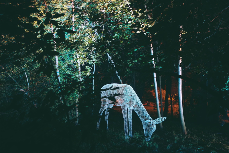 sculpture, beauty In Nature, outdoors, bone, growth, deer, tranquility, nature, forest, beauty, land, caucasian Ethnicity, art, tree trunk, no people, branch