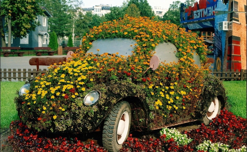 flowering plant, fragility, nature, architecture, beauty in nature, topiary, vulnerability, house, building exterior, beetle, red, outdoors, built structure