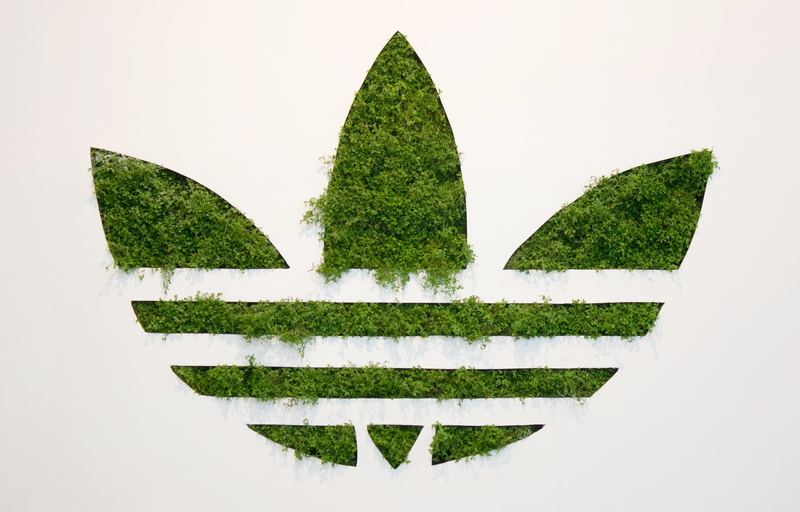 Background, copy space, pattern, indoors, tree, growth, Grass, green Color, arrow Symbol, ideas, symbol, art and craft, studio shot, beauty in nature, plant part